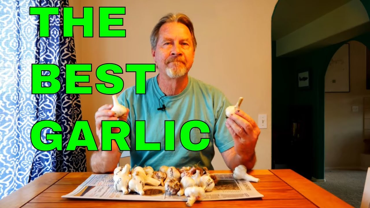 Choosing Garlic to Grow (What's Best For You)