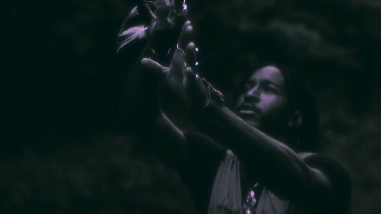 Basheer - Motion (Wolf) (Official MUSIC Video)