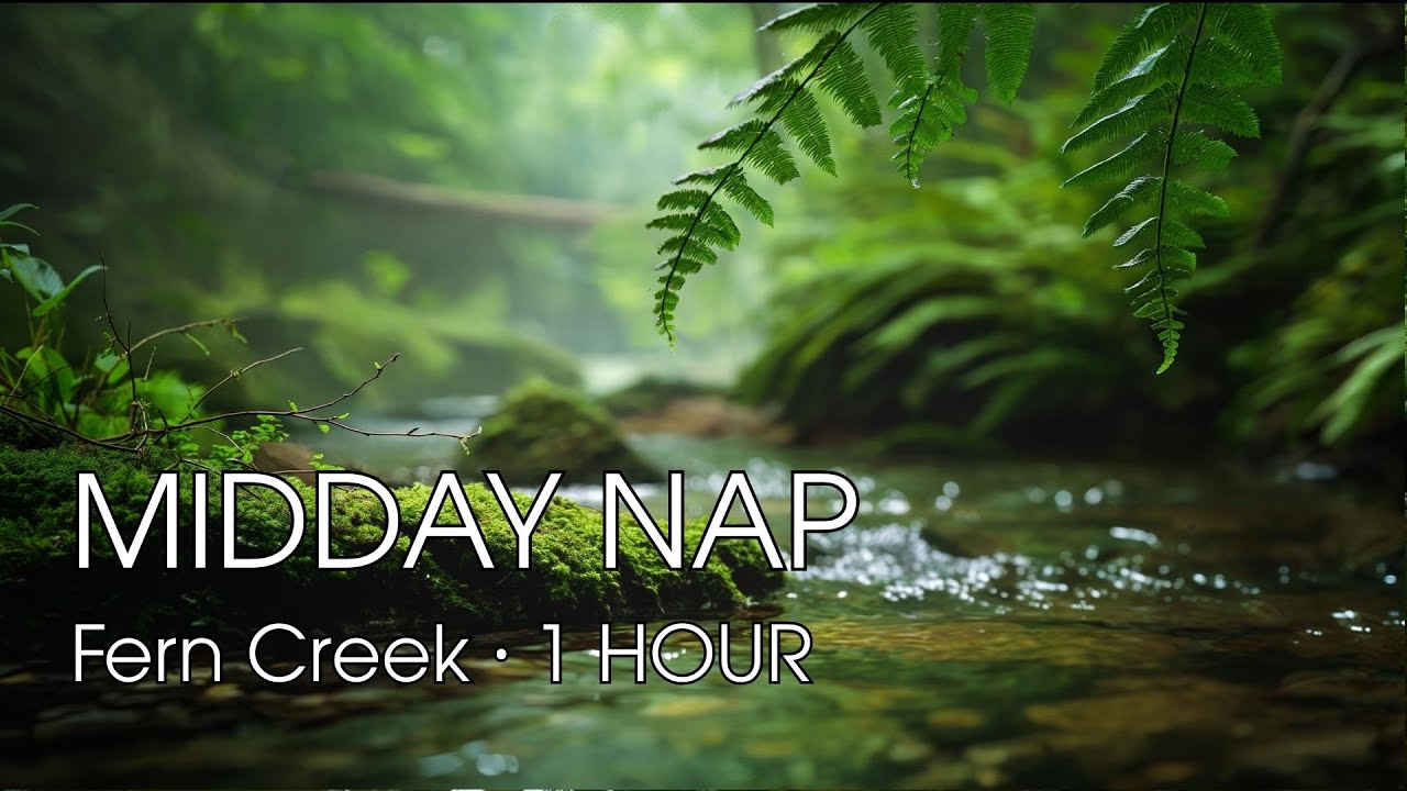 MIDDAY NAP 🌿 Fern Creek Ambience • 1 Hour Quiet Daytime Stillness