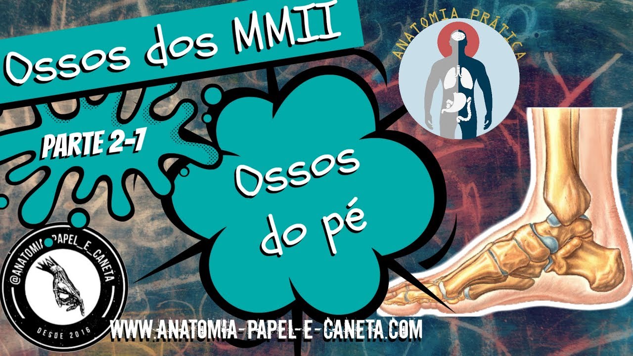 Anatomia do Pé - Ossos do Tarsos,  Metatarsos e Falanges - Sistema Esquelético [Anatomia Prática]