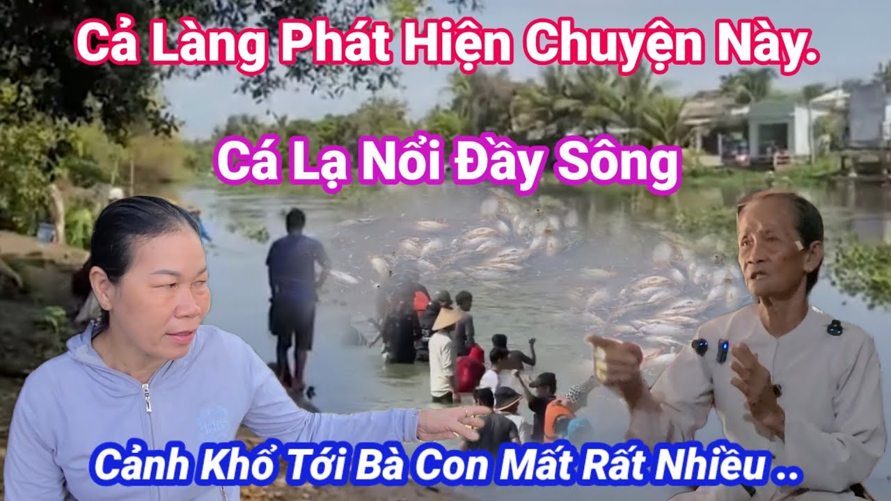 👉 Tới công chuyện cả làng phát hiện chuyện này. Cá nổi đầy sông  Cảnh khổ rồi /Long Nữ Diệu Pháp. 