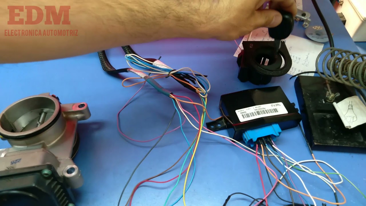 Reparación de ecu Continental EMS3134 de Renault Kangoo