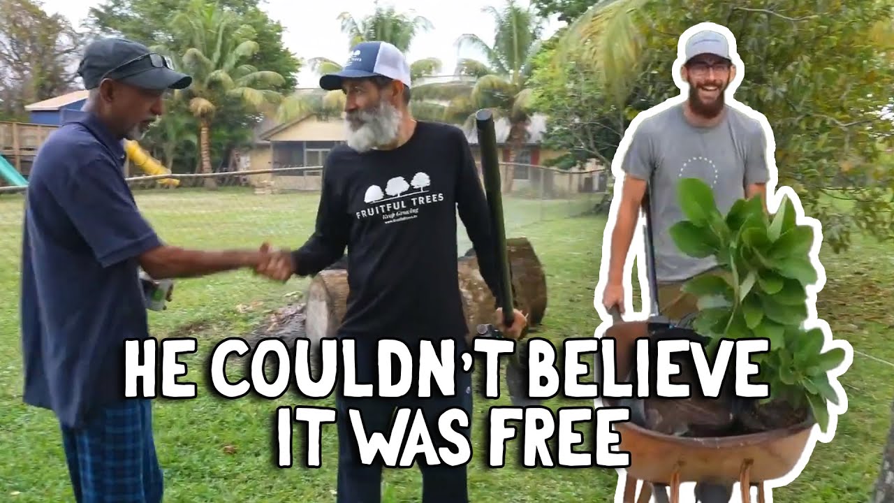 Mango & Avocado Trees—No Strings Attached! - FRUIT TREE GIVEAWAY PART 4