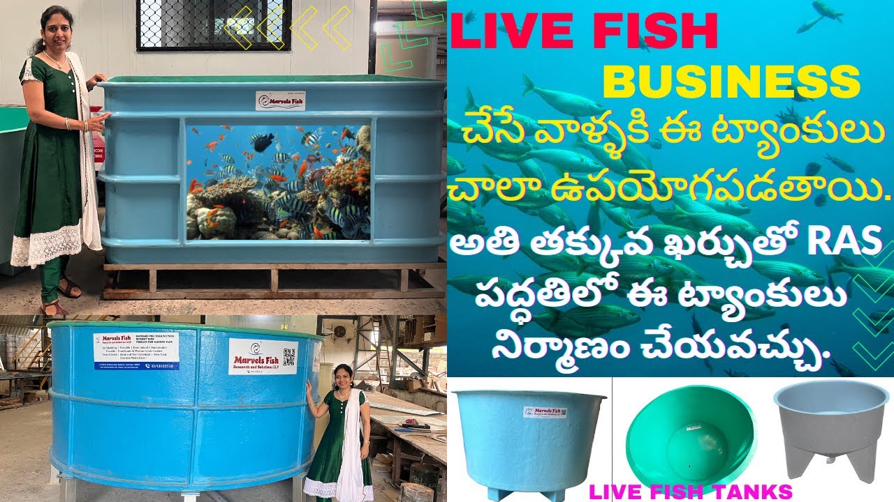 Live Fish Business చేసే వాళ్ళకి ఈ ట్యాంకులు చాలా ఉపయోగపడతాయి| Live Fish Tanks manufacturing in HYD.