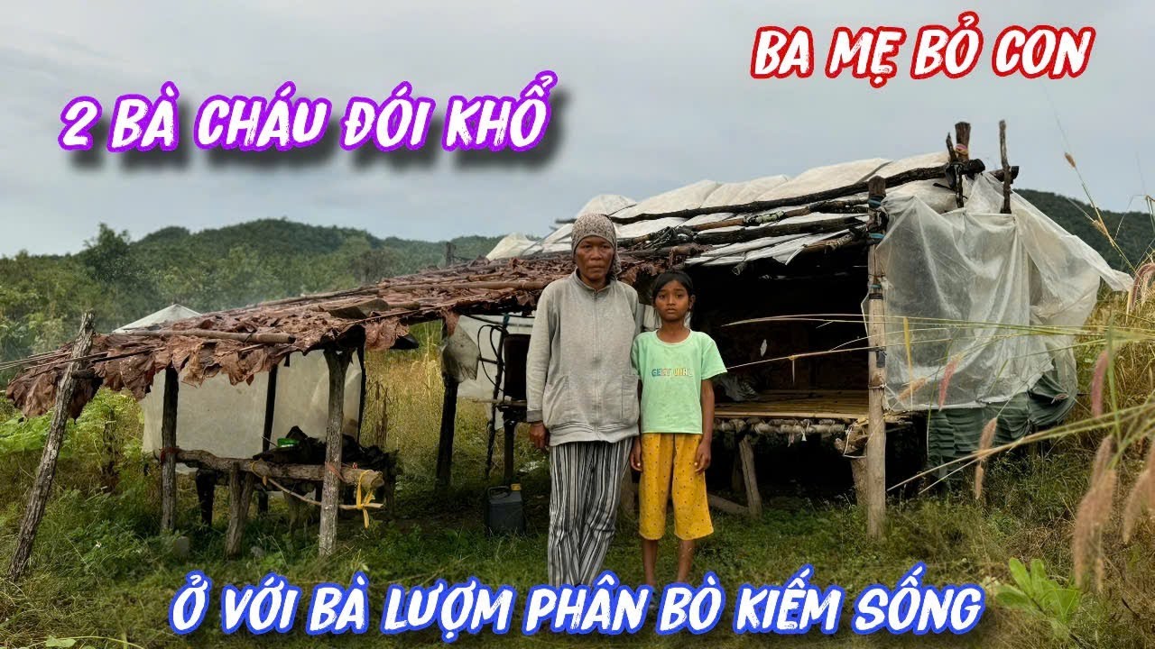 BÀ nuôi CHÁU MỒ CÔI nhặt PHÂN BÒ kiếm sống ở trong căn chòi DỘT NÁT../416
