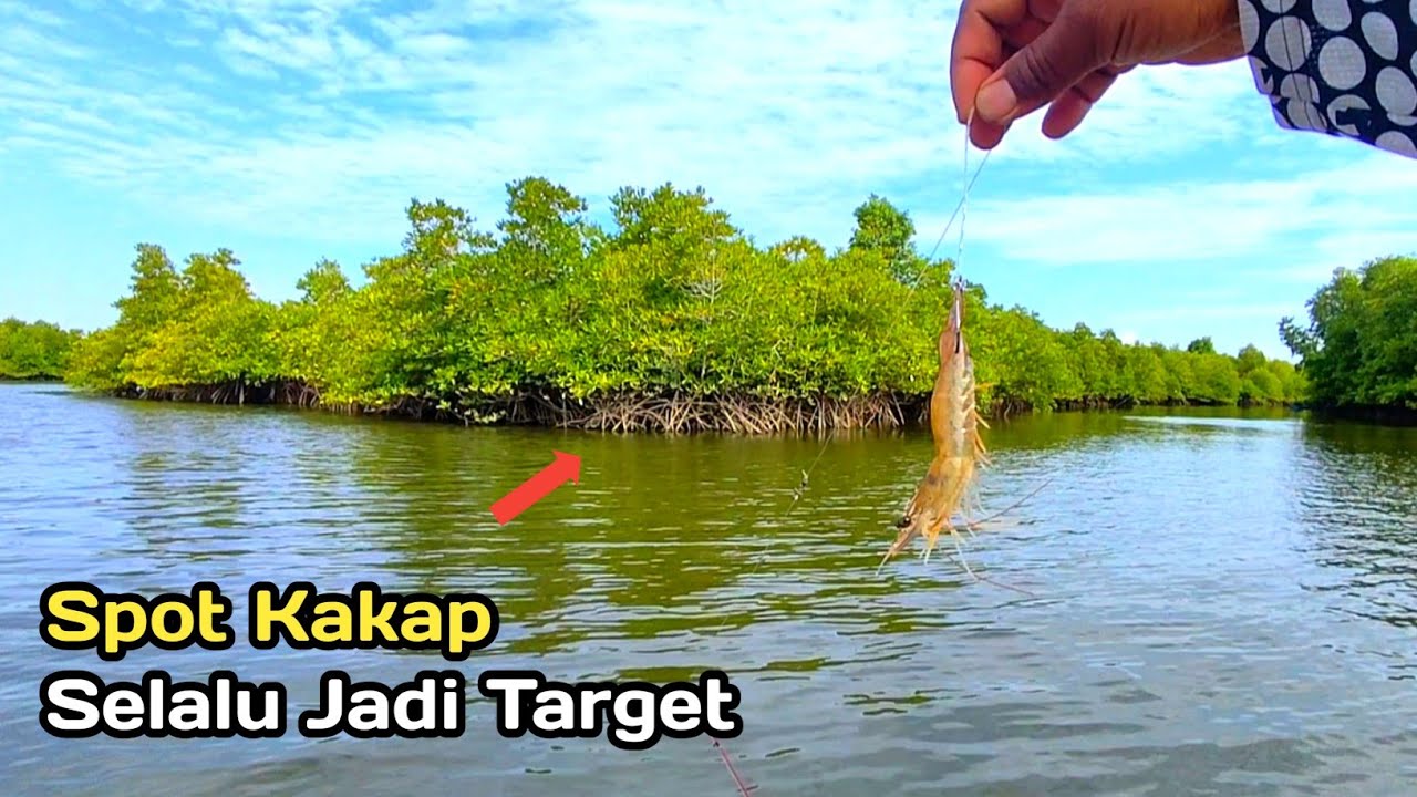 Mancing Di Spot Kakap Saat Air Pasang Besar dan Inilah Hasilnya