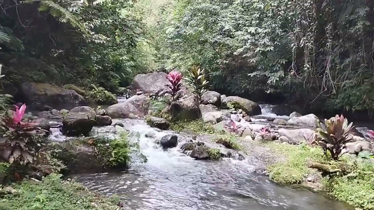 Hidden Gems of  Brgy. San Fernando Talisay City Negro's Occidental..  