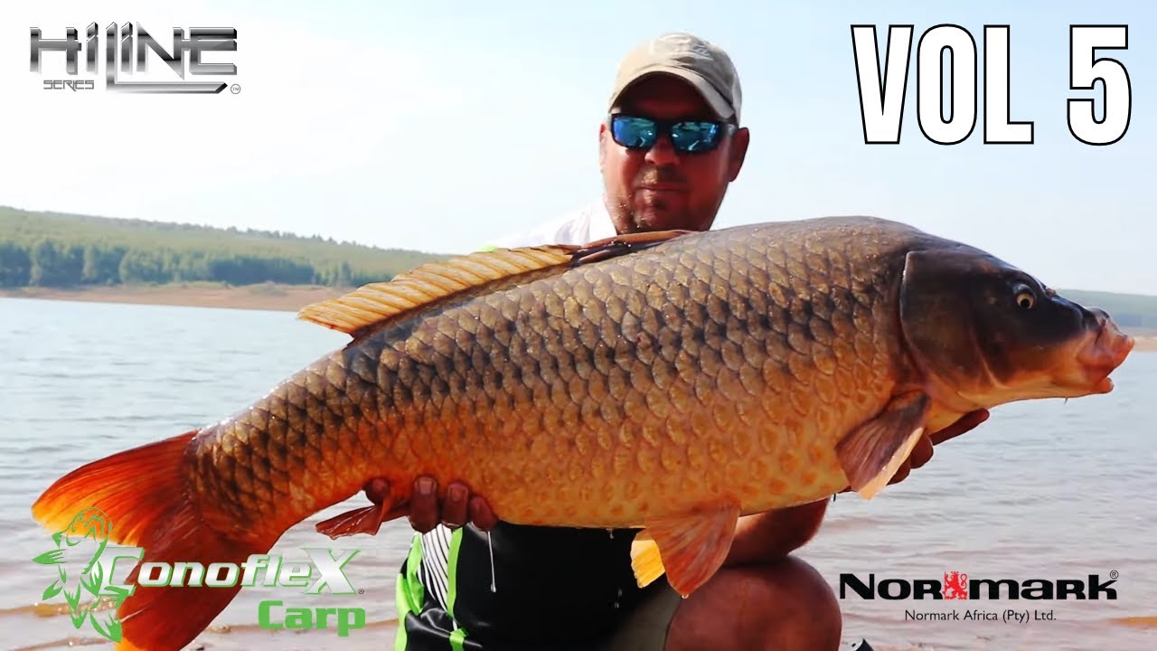 40lbs + Carps - Conoflex Carp Hi Line Series Volume 5
