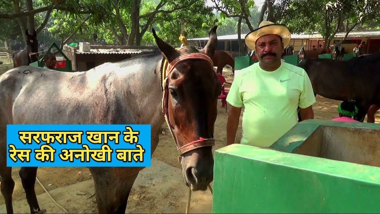 SARAFARAZ KHAN NE RACE की शुरुआत कैसे की INDIA TOP BEST RACE IN REHAVAL