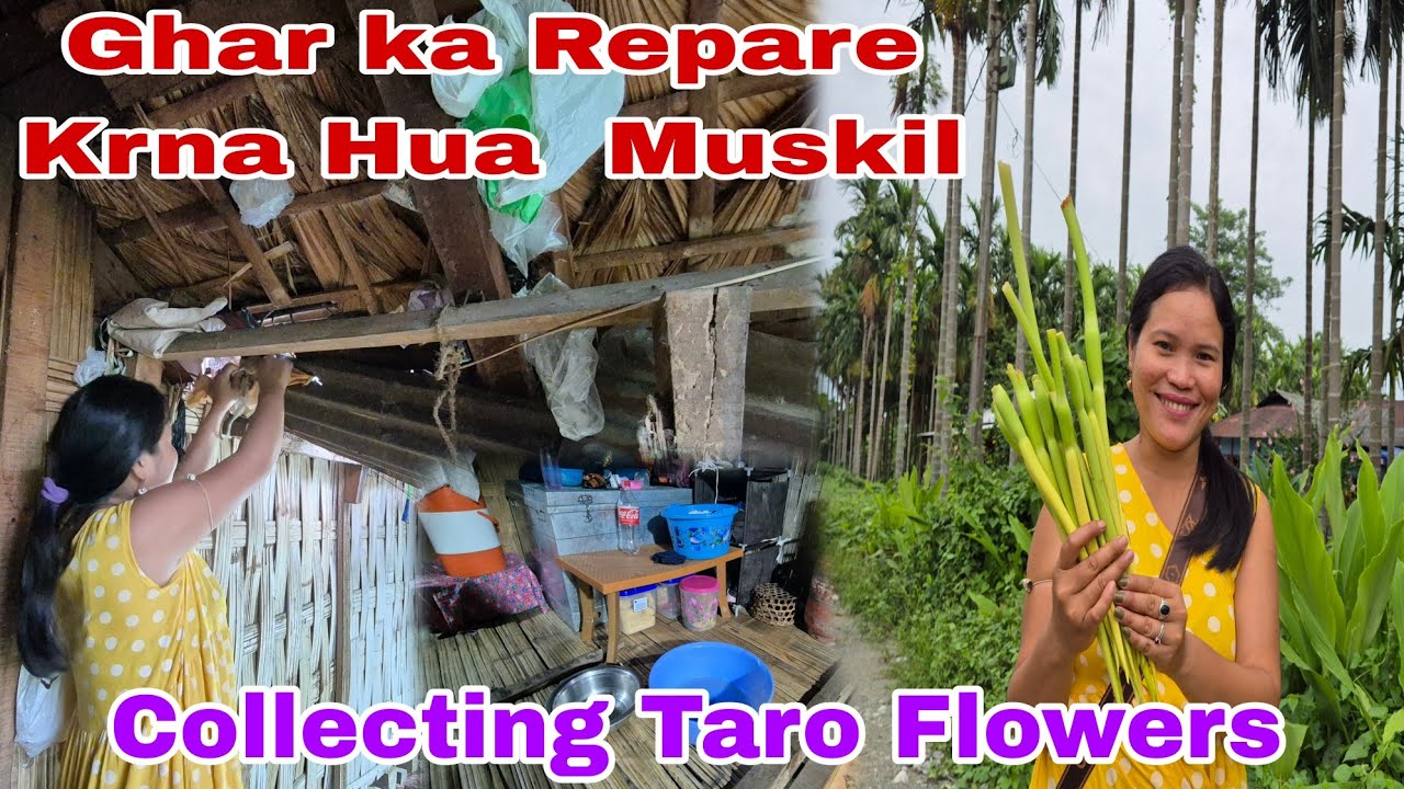 Barish se Ghar Halat Karab Hua// Collecting wild Vegetables  //#food #villagelife 