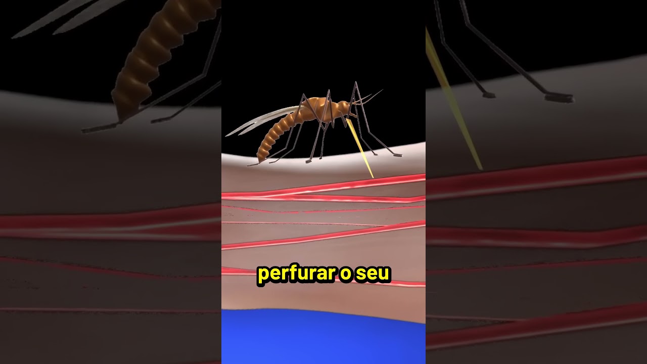 Como os mosquitos picam uma pessoa #shorts