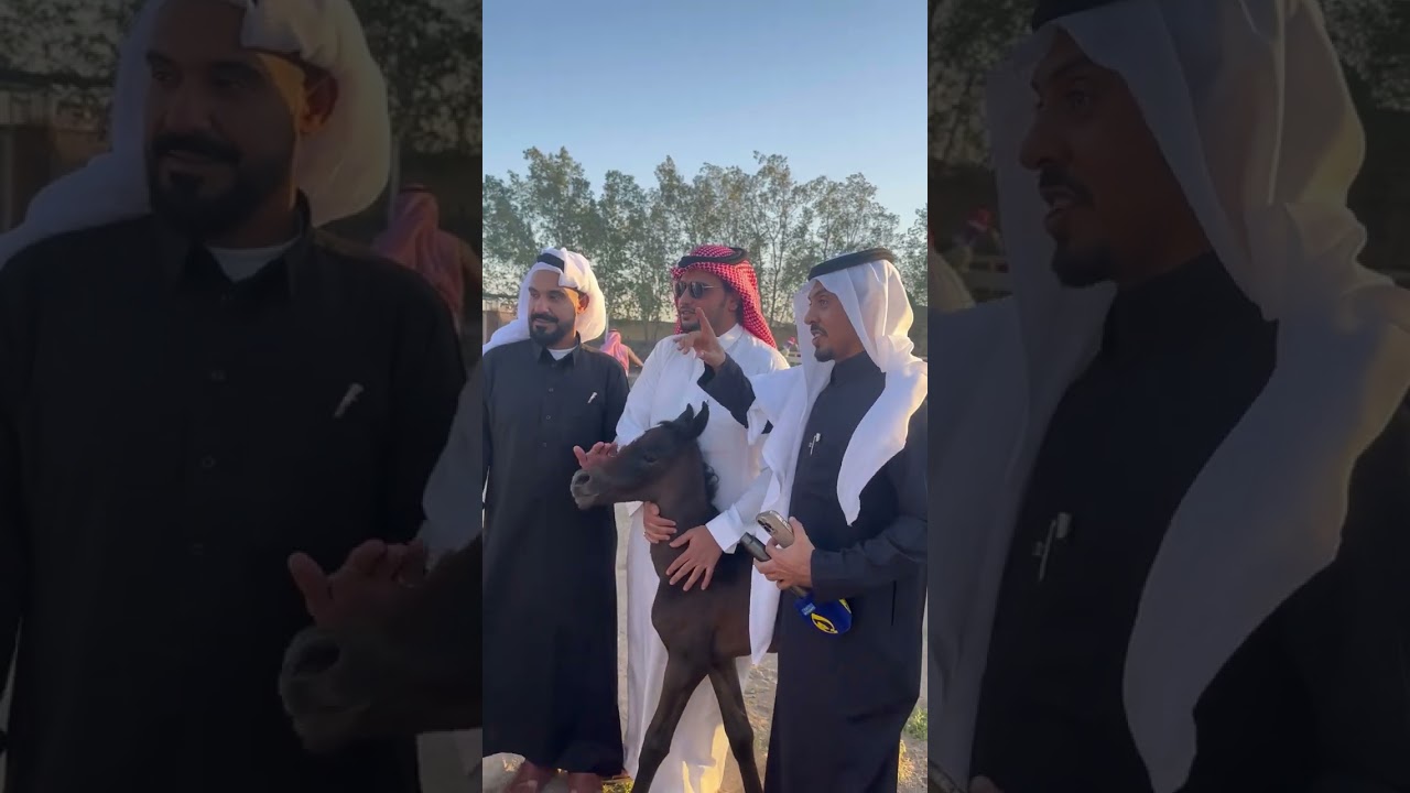 شيوخ وشعار واعيان واعلامي بني مالك بضيافه منتجع ومزرعه جود الخير الجزء الاول