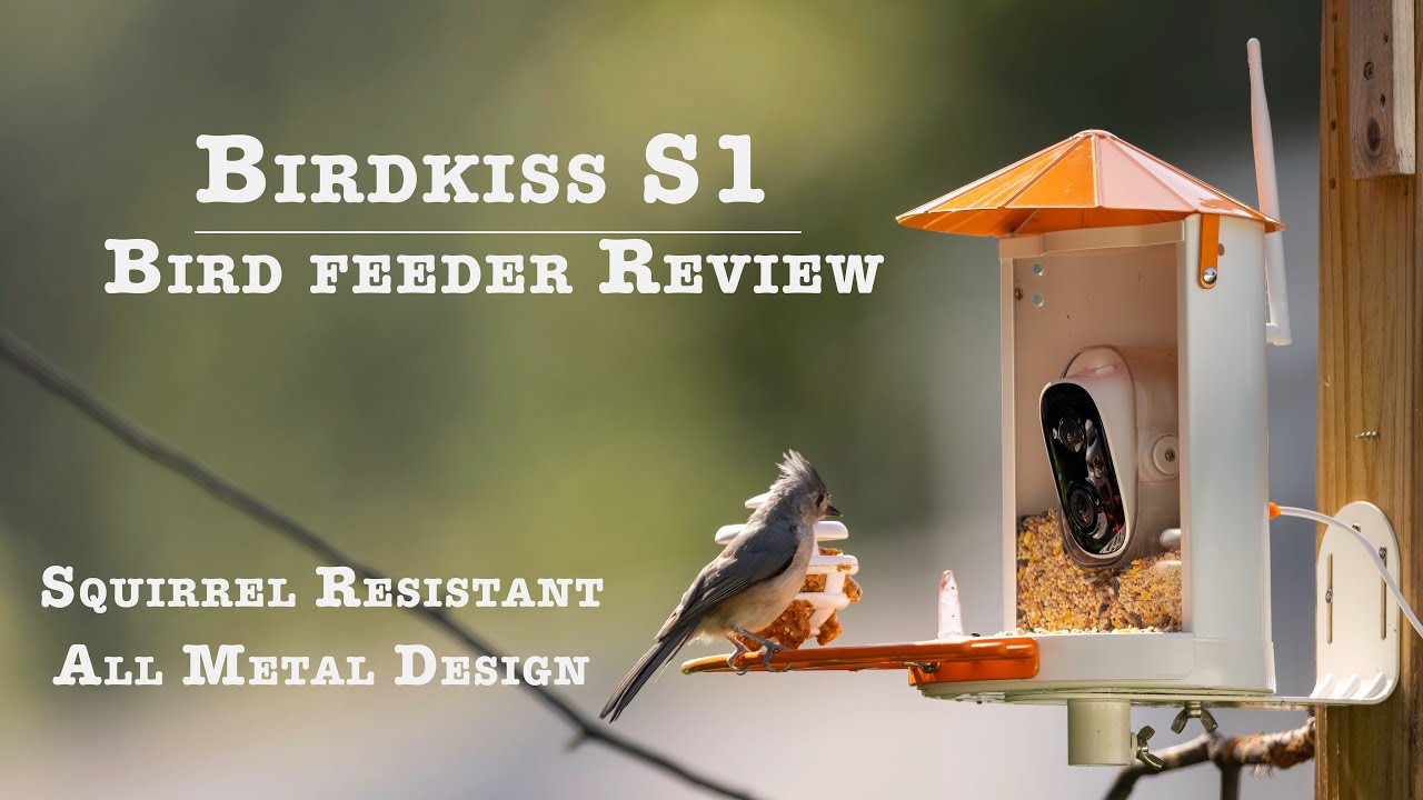 In Depth Review of the ALL NEW METAL Birdkiss S1 Bird Feeder | Enjoy your backyard birds!