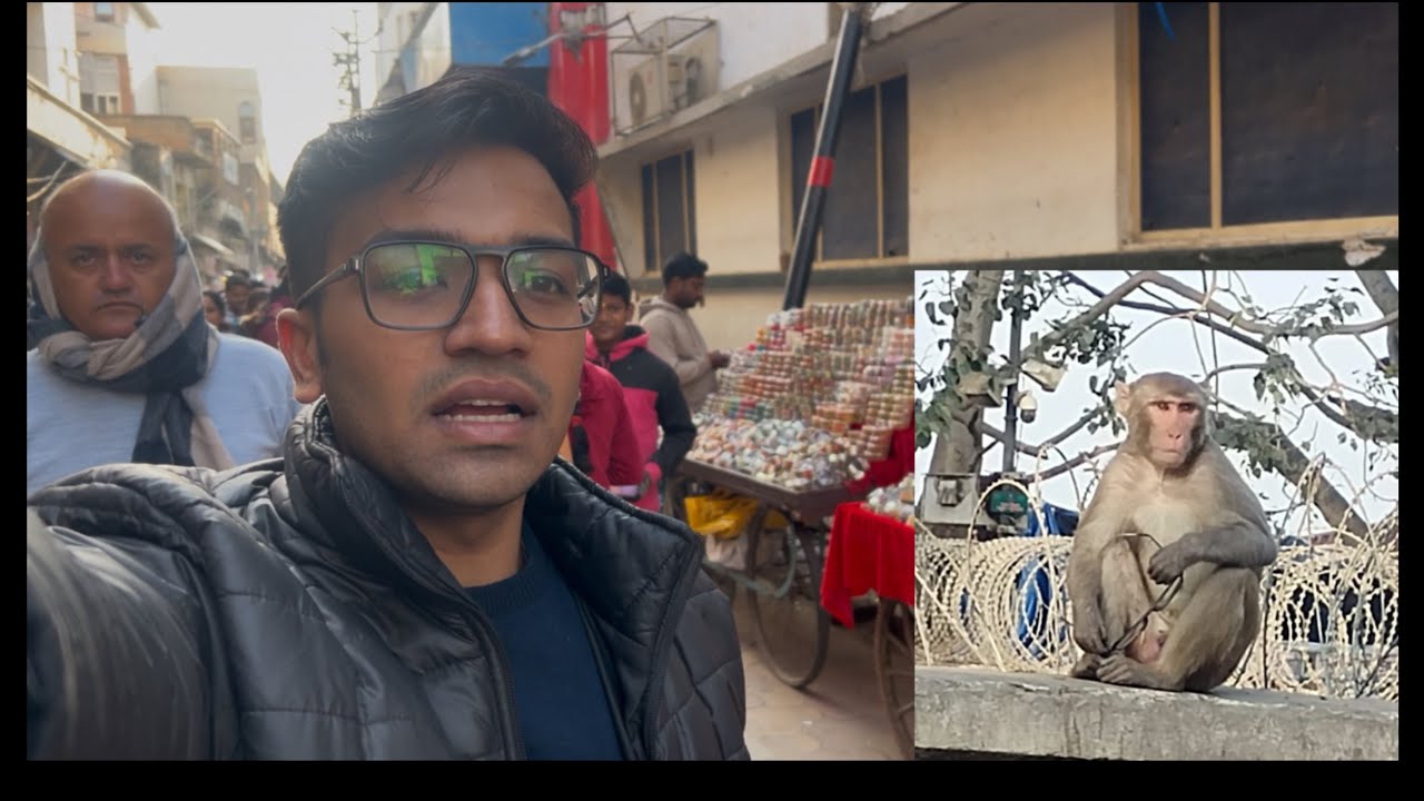 First day in Vrindavan 🦚 ( BANDER LE GAYA CHASMA ) #youtube #vlog #explore #trip #fyp #like #views 