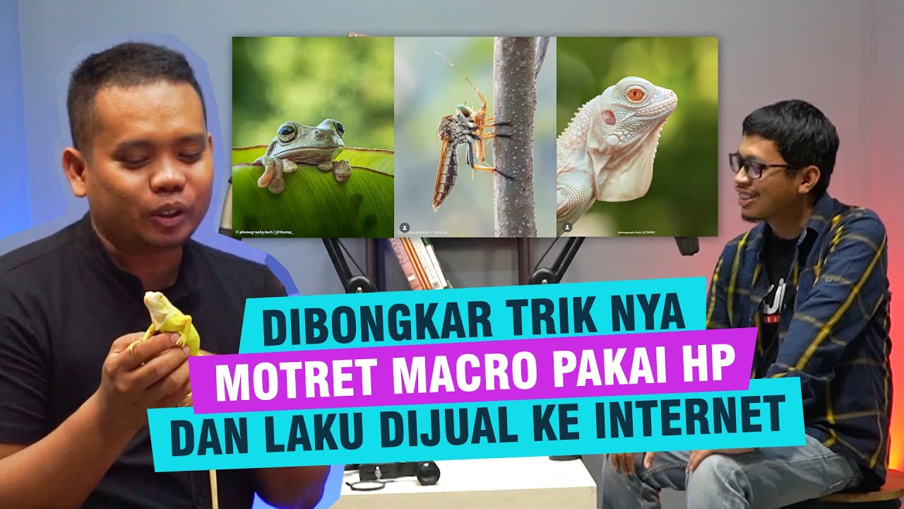 BUKA-BUKAAN TEKNIK FOTO MAKRO DENGAN HP YANG BENAR DAN JUAL FOTO KE INTERNET - MicroPods