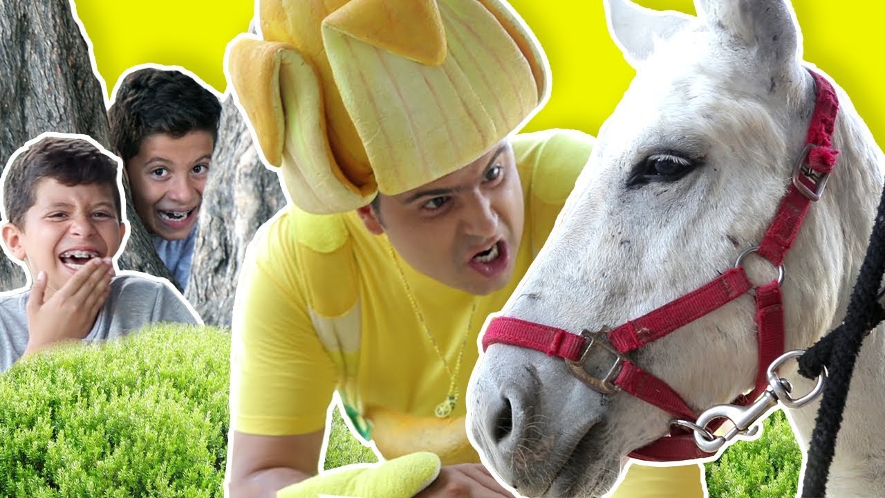Fozi Mozi - English | Donkey for sale