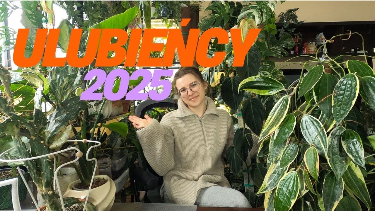 Ulubieńcy 2025 💚