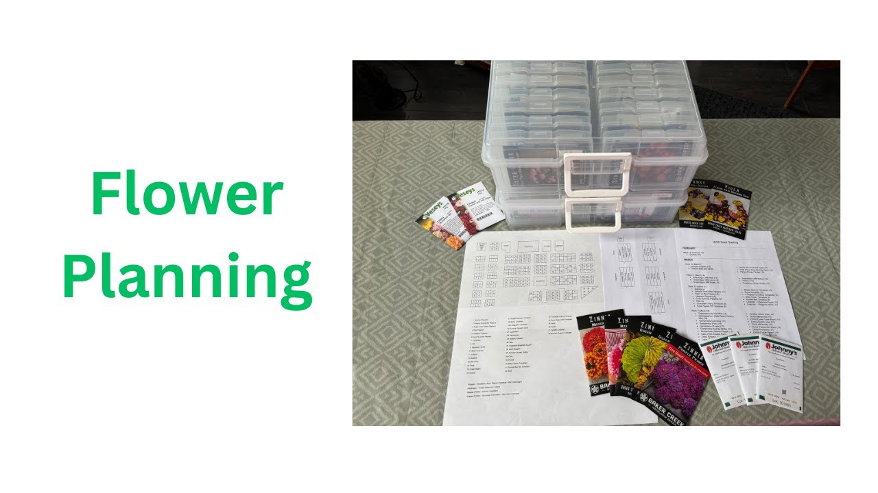 Summer Flower Seed Preparation