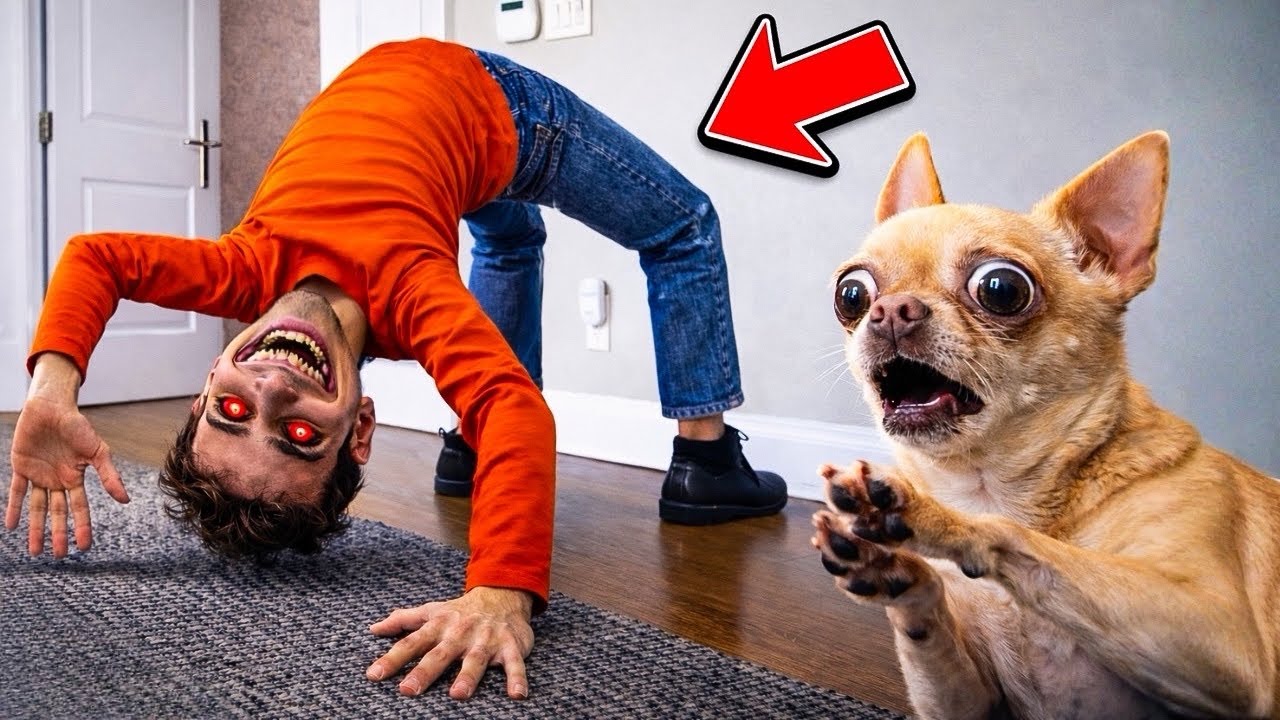 PERCHÉ È PIEGATO COSÌ?! 😨