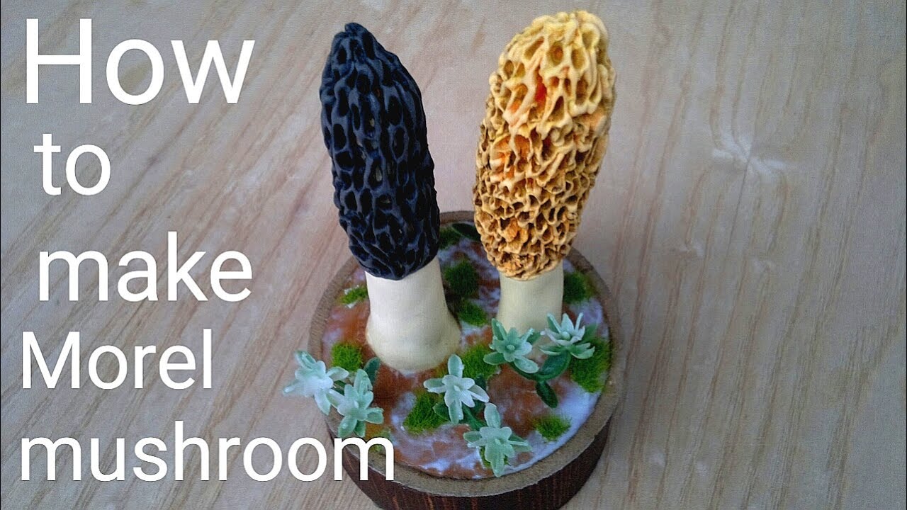 Making Morel Mushroom Morchella DIY | How to make mushrooms | Mushrooms Art and Crafts