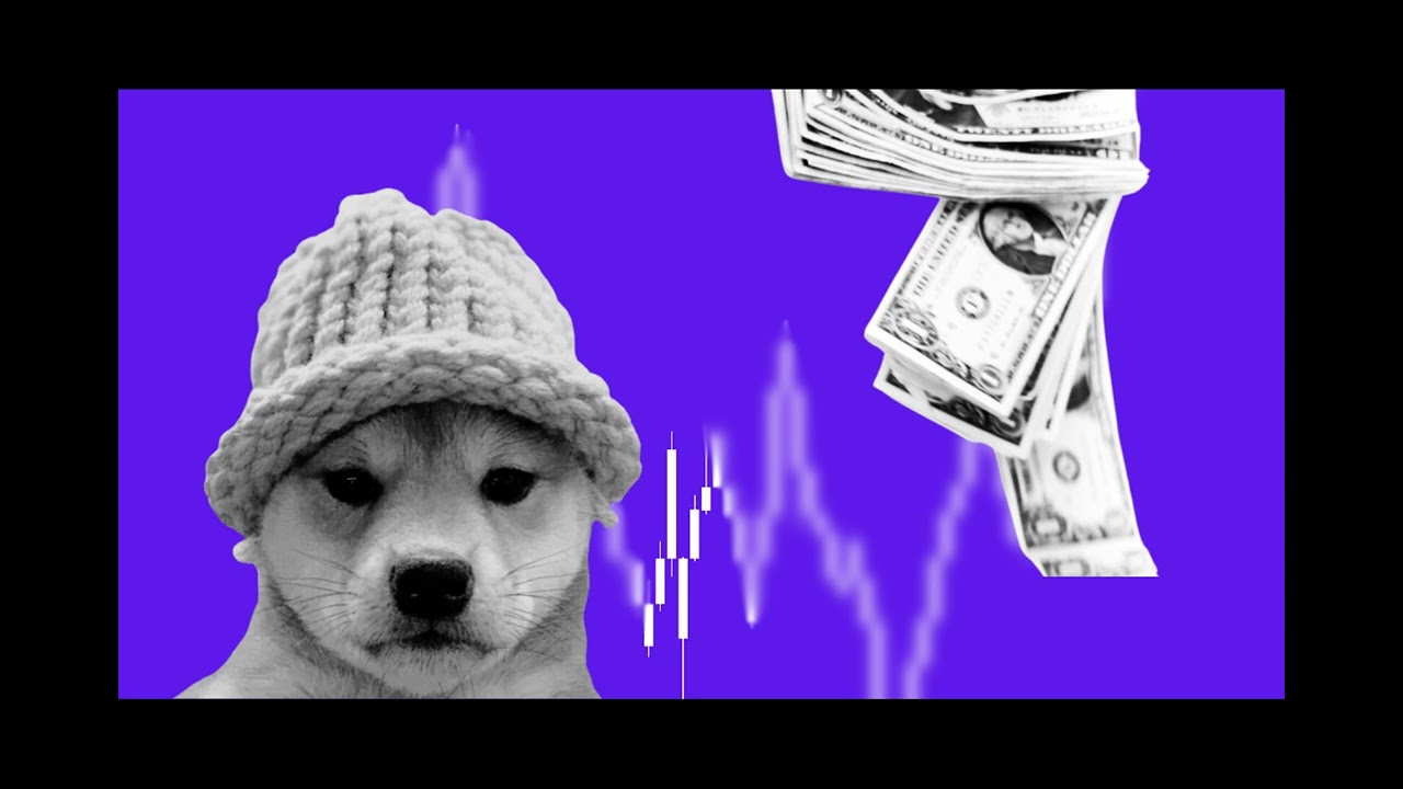Why is Dogwifhat (WIF) Price Up Today?