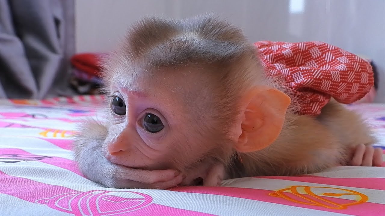 Cute Face And Eyes Of Daughter Valen Was Newborn