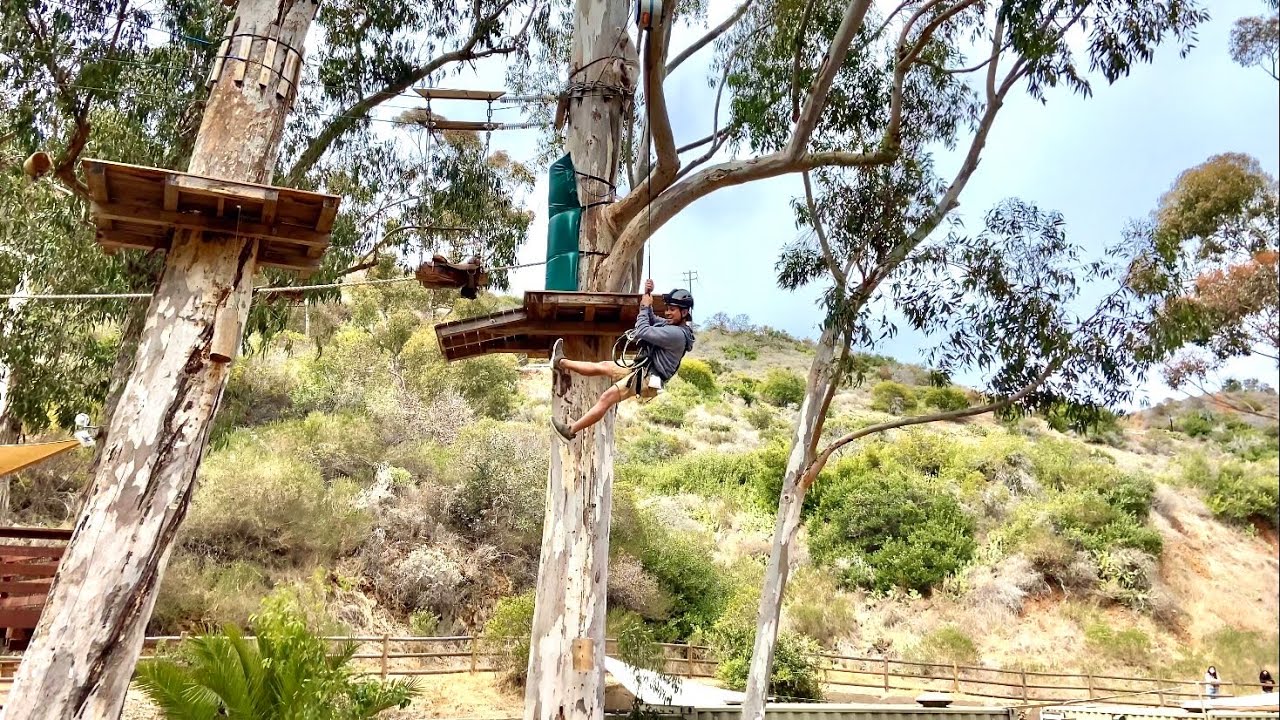 Catalina Aerial Adventure | Beginner, Intermediate, Advanced