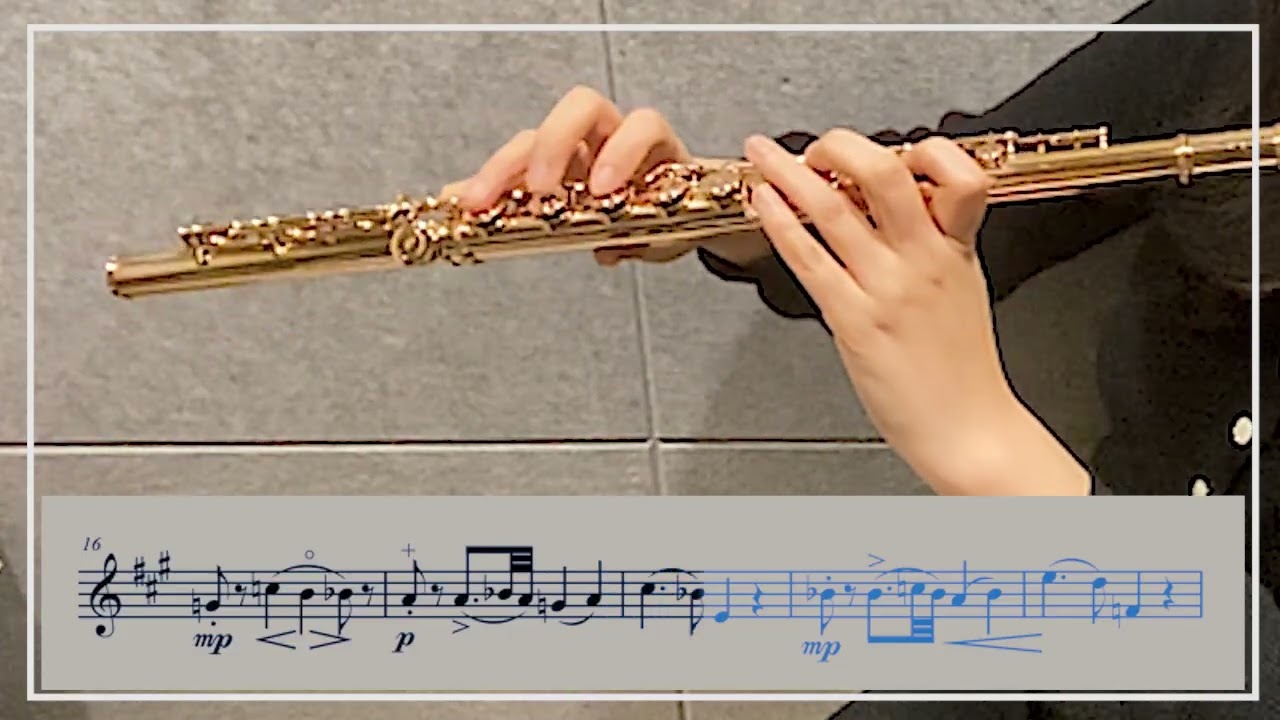 가리볼디 플루트 에튀드 Op. 131 11번 A Major
