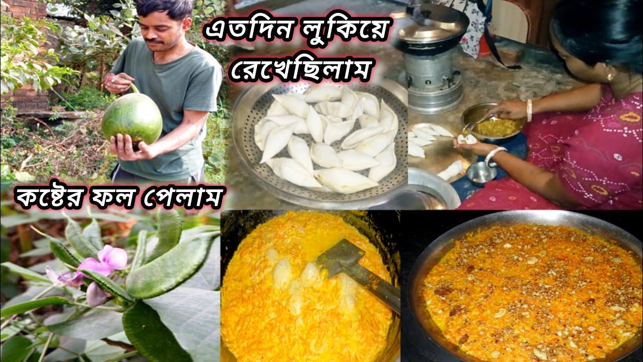 কার মন কেমন বোঝা বড় দায় তাই এতদিন লুকিয়ে চুরিরে রেখেছিলাম,কষ্ট করলে ফল ঠিক পাওয়া যায় #vlog 