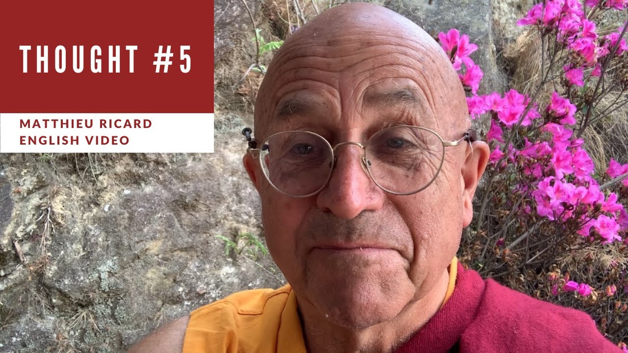 Thought #5 - The real evil beast is selfishness - Matthieu Ricard (English)