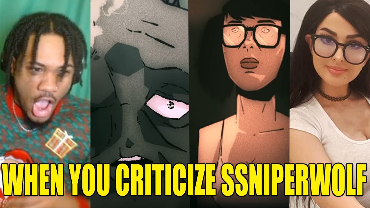AVOCADO IS IN DANGER - When You Criticize SSSniperwolf (Reaction)