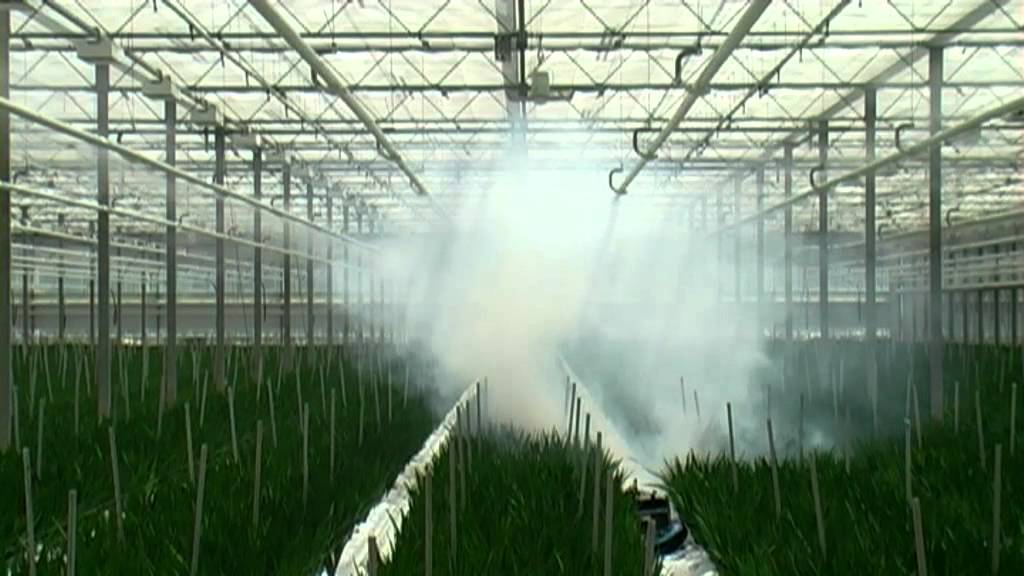 Nivola Greenhouse Nivolator smoketest fresia's