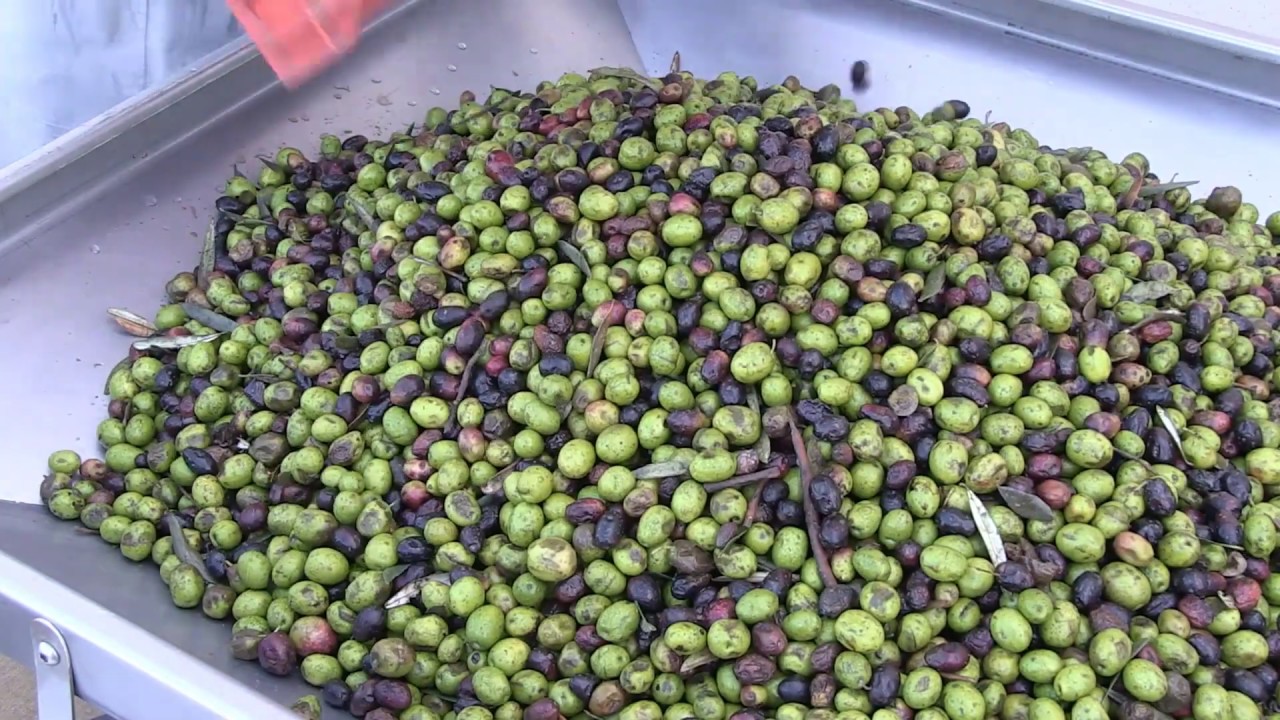 MINI200 OLIVE MILL COMPACT SPACESONIC