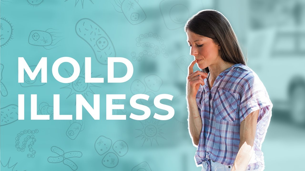 My Mold Illness Journey, Strategies & Tools