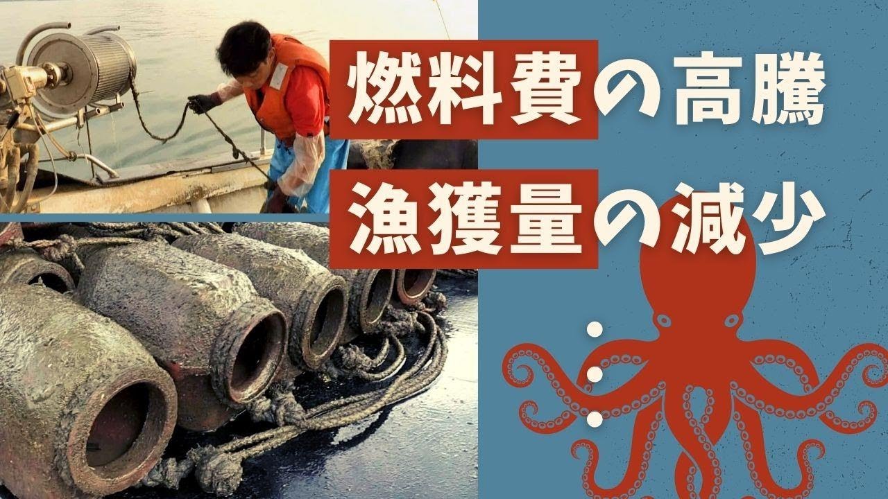 「関門海峡たこ」漁の最盛期も“三重苦”のたこ壺漁師　窮地をどう乗り越える