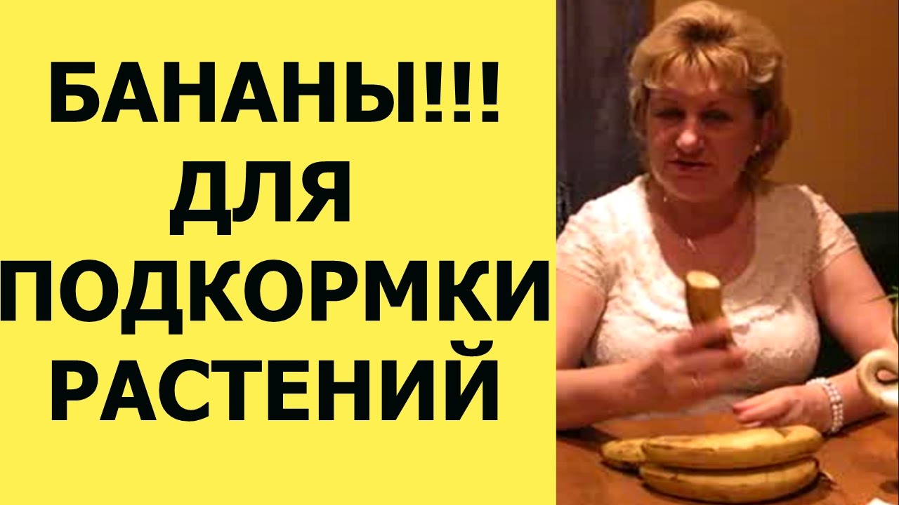 БАНАНЫ - суперподкормка растений и цветов. Дедовские способы выращивания