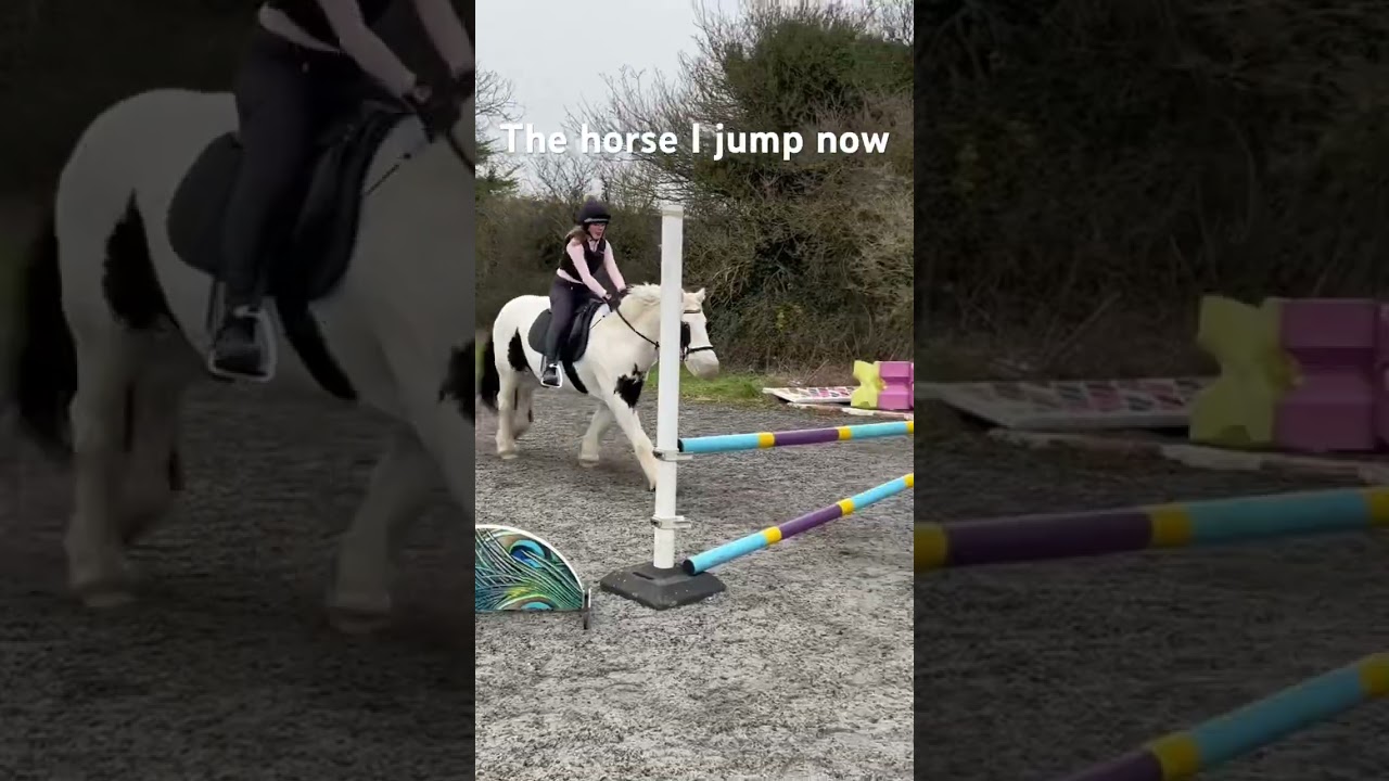 Henry 🤍 #horse #equestrian #equines #horseriding #jump #dontgiveup #showjumping #horses #cobs