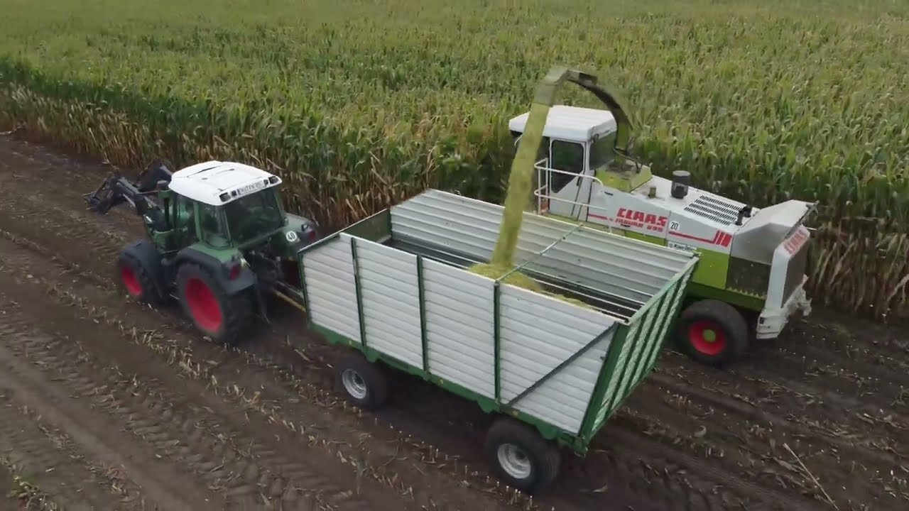 Maishäckseln mit Claas Jaguar 695 + Häckselgut Verdichtung am Silo I 4k