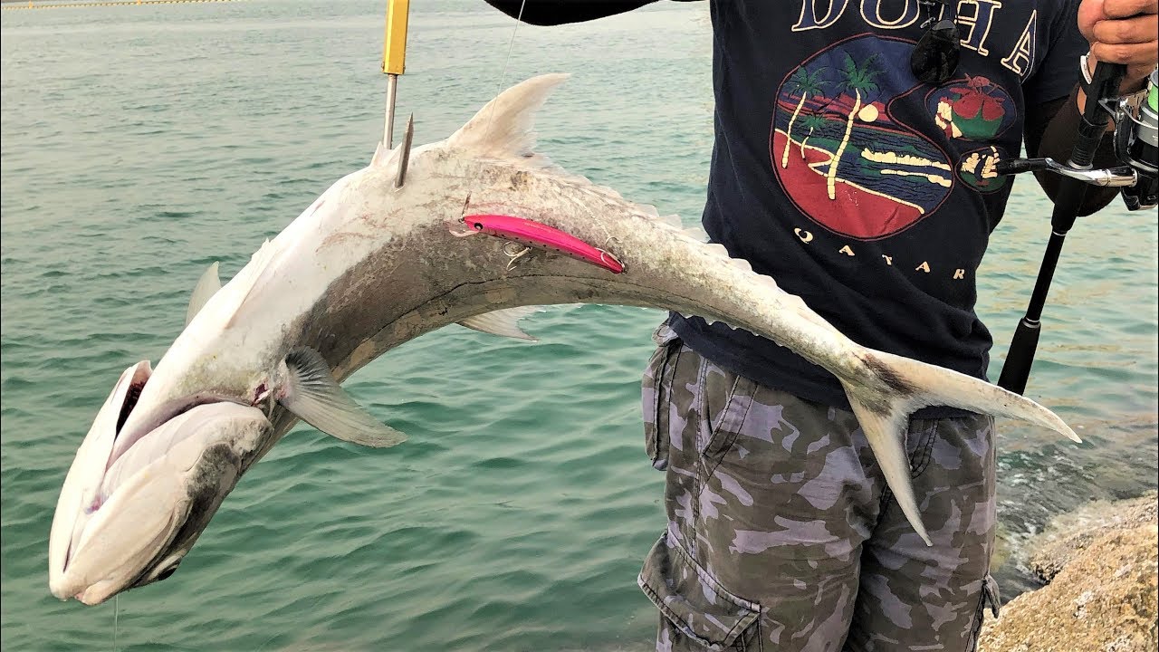 Shore Fishing in Qatar - Corniche and Al Khor
