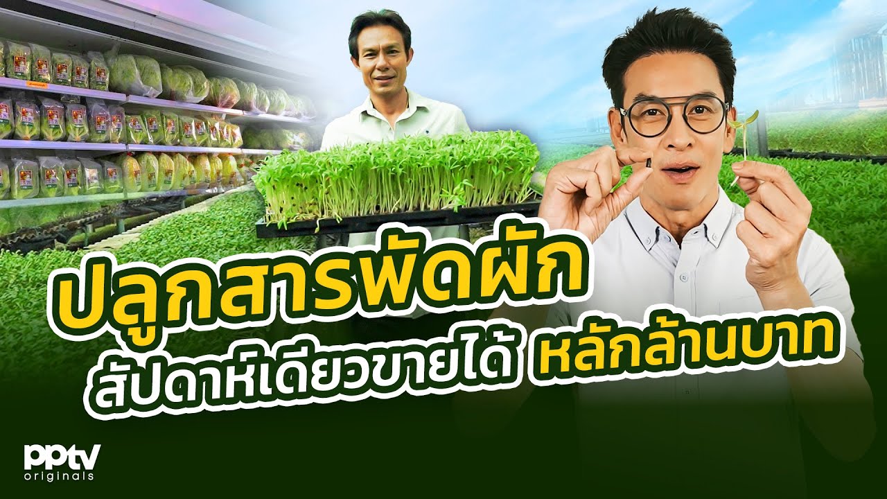 ปลูกสารพัดผัก สัปดาห์เดียวขายได้หลักล้านบาท | คริตมาแล้ว | Full EP