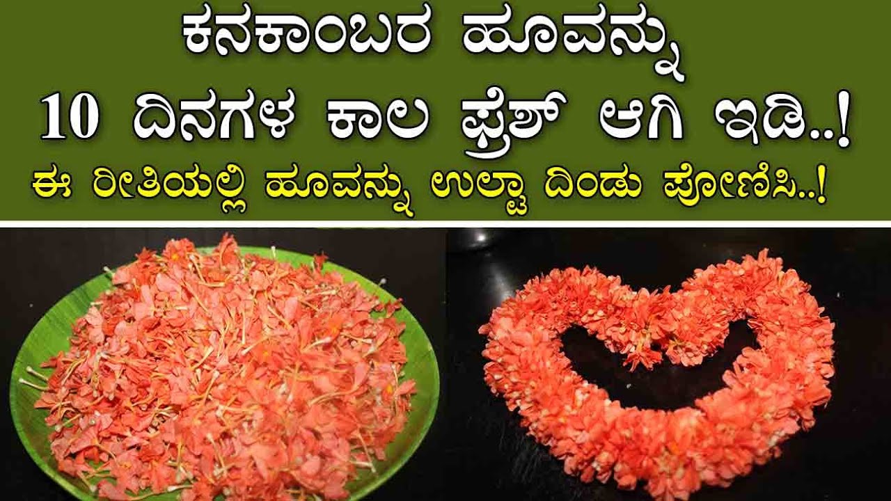 how to store kanakambaram long time | ಕನಕಾಂಬರ ಹೂವನ್ನು ೧೦ ದಿನಗಳ ಕಾಲ ಫ್ರೆಶ್ ಆಗಿ ಇಡಿ