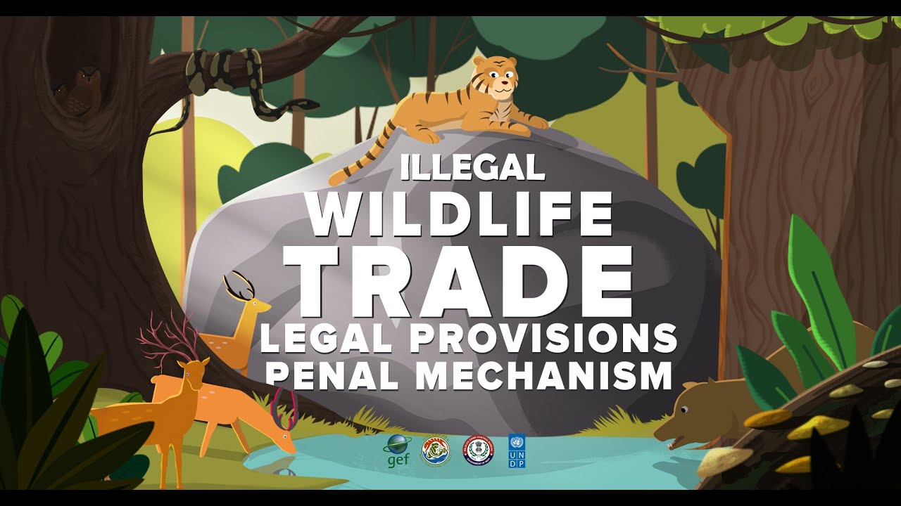 Legal Provision and Penal Mechanism for Illegal Wildlife Trade- Detailed I MoEF&CC I WCCB I UNDP