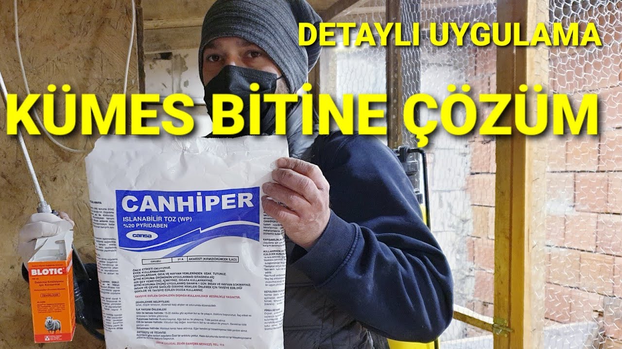 BİTE KARŞI TAVUK VE KÜMES NASIL İLAÇLANIR. BİT SORUNUNA KÖKTEN ÇÖZÜM. #bit #kümes #tavuk #bitilacı