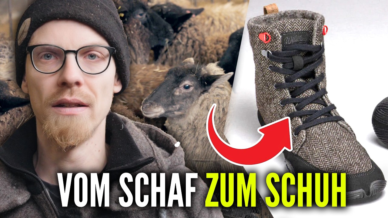 Schafschur - TIERQUÄLEREI oder notwendig?