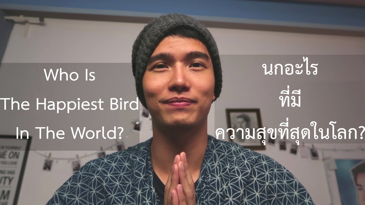 Who Is The Happiest Bird In The World? - นกอะไรที่มีความสุขที่สุดในโลก?