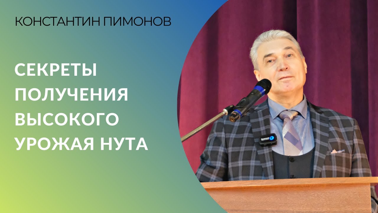 Секреты получения высокого урожая нута | Константин Пимонов