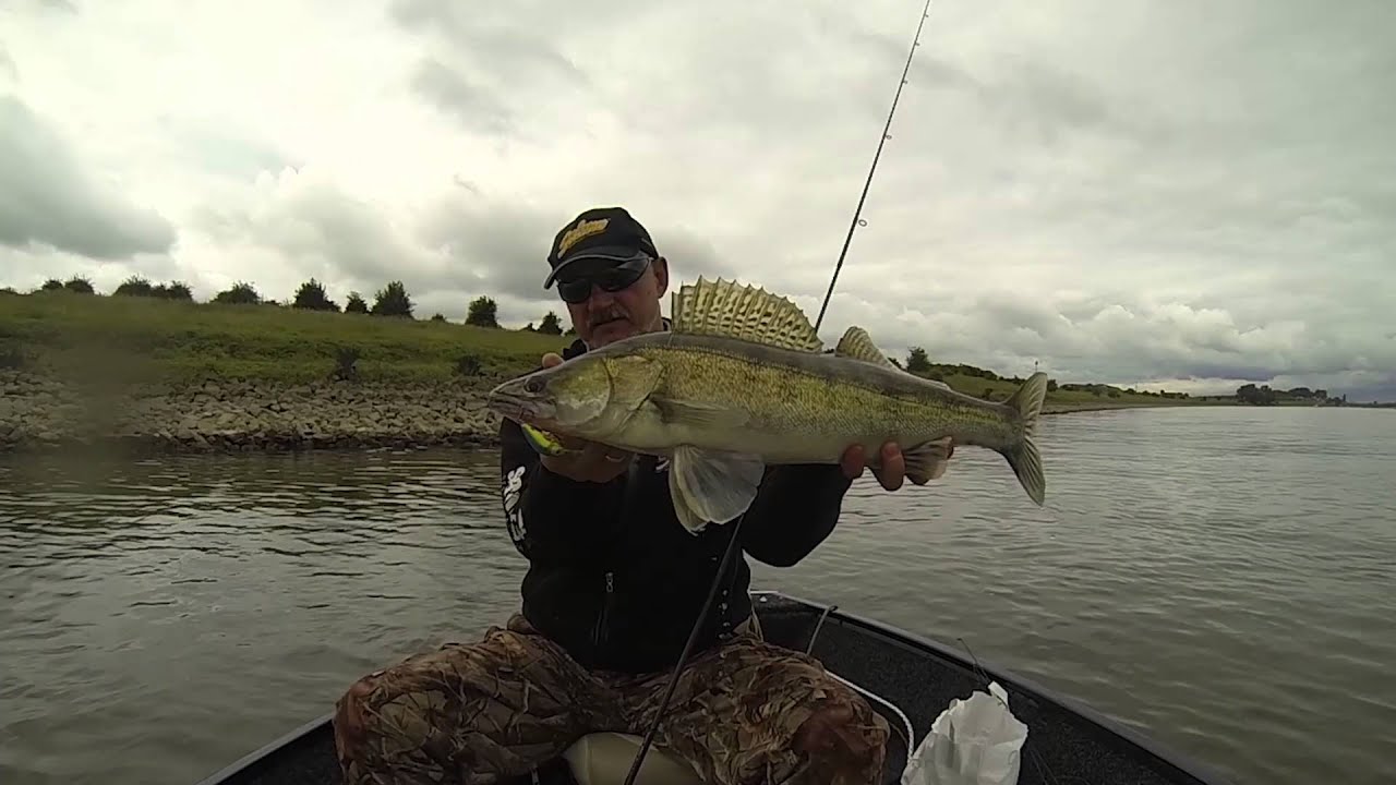 Salmo Rattlin'Hornet -  плавающий crankbait Salmo
