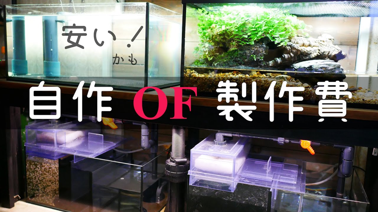 ２万円台で作る自作オーバーフロー水槽