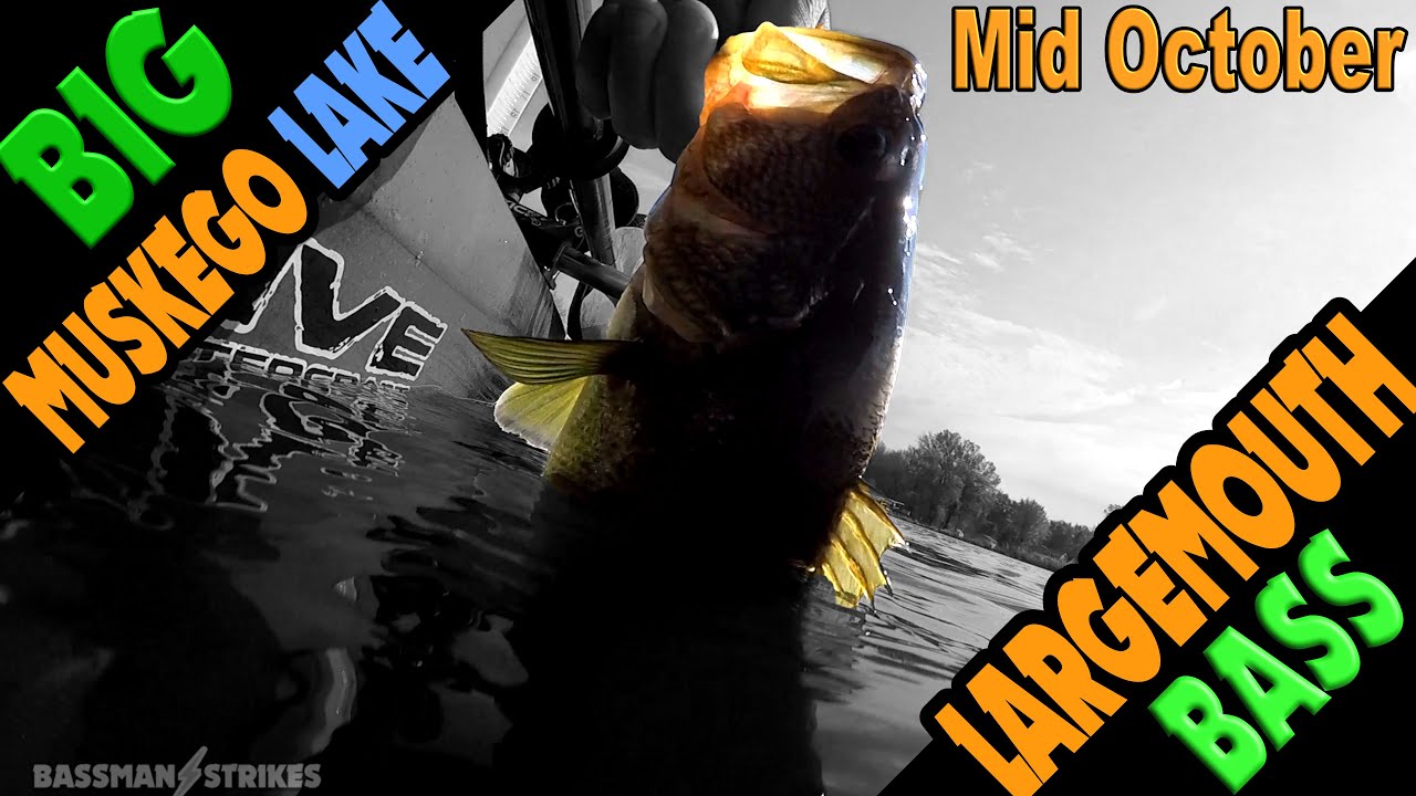 October Kayak Fishing for Bass on Big Muskego Lake using soft plastics and hard baits Part 1