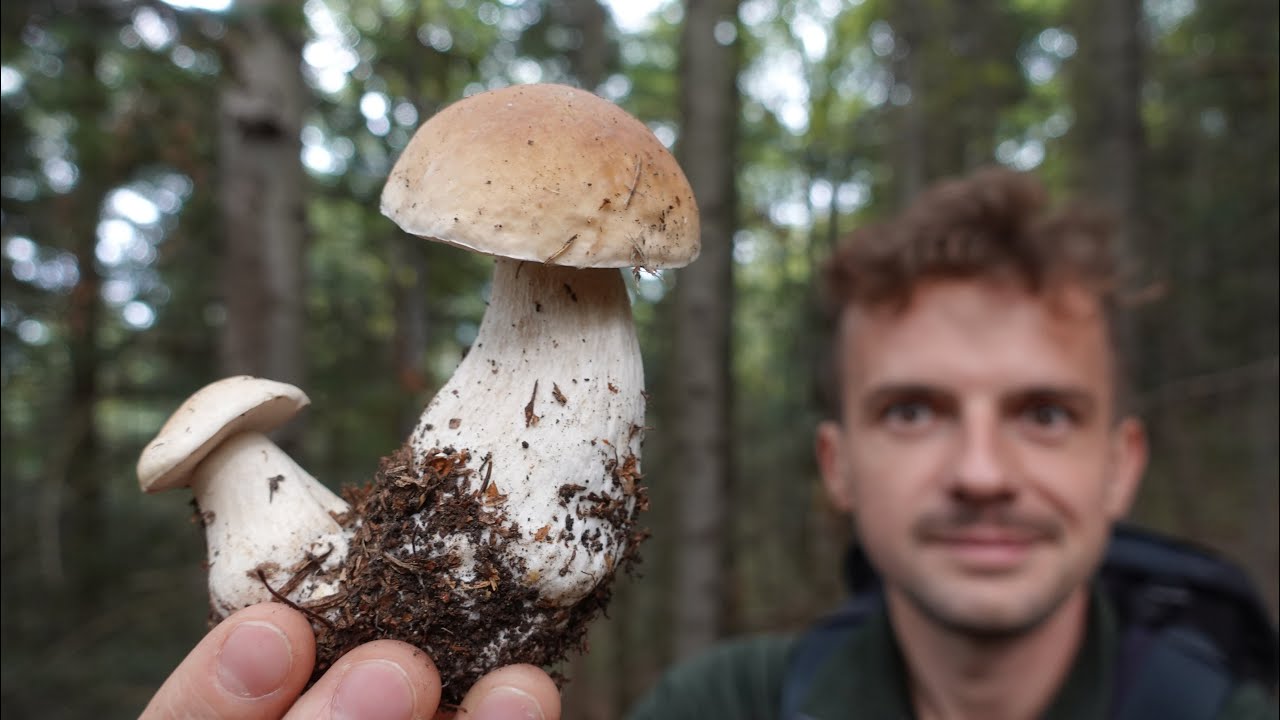 Piękne, młode PRAWDZIWKI w październiku!